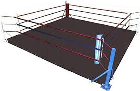 FNine MMA - Alfombrilla de Lucha Profesional