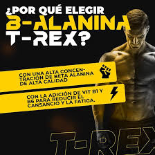 Beta Alanina 1000mg: Potencia tu Resistencia y Reduce el Ácido Láctico