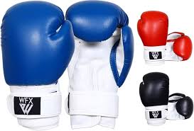 Guantes de Boxeo Infantil WFX para Sparring y Artes Marciales