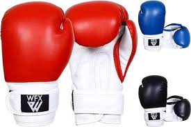 Guantes de Boxeo para Niños WFX - Artes Marciales y Sparring